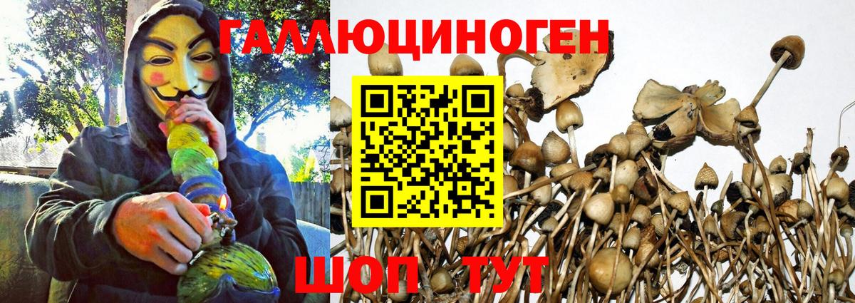 Белогорск  Галлюциногенные грибы мицелий  Вход с VPN 