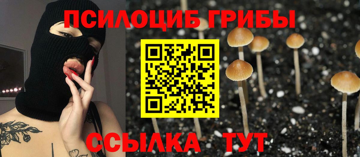 Галлюциногенные грибы Psilocybe Белогорск